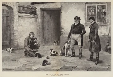 Die aufstrebende Generation